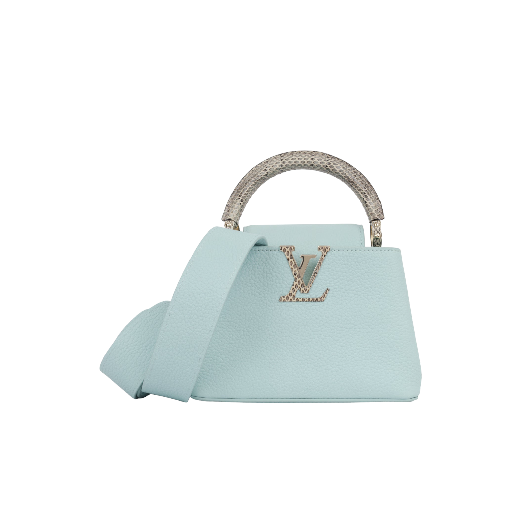 Louis Vuitton Blue Capucine BB Python Handle Bag  The Closet